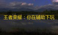 王者荣耀
：你在辅助下玩过1000场以上吗？ 如果你不掌握这些套路 
，那你就是个傻瓜	！